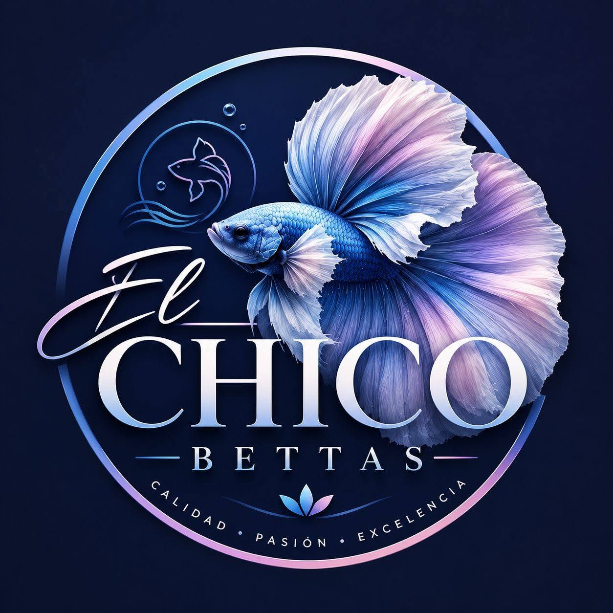 El Chico Bettas